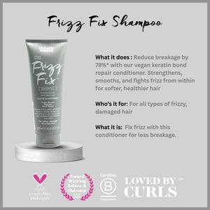 Umberto Giannini Frizz Fix Shampoo with vegan keratin peptide repair, reduces breakage, for frizzy, damaged hair