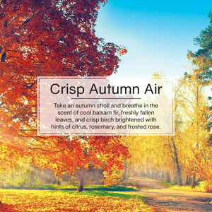 Crisp Autumn Air product banner with autumn trees and path, Sunbeam Merchantile Ventures.
