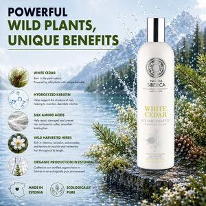 Natura Siberica White Cedar volume shampoo bottle by a mountain lake with wild herbs.