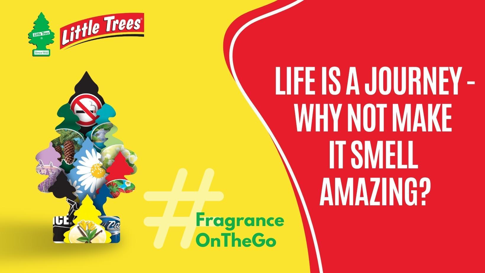 10 Must-Have Little Tree Car Air Fresheners for an Irresistibly Fresh Ride - Sunbeam Merchantile Ventures 