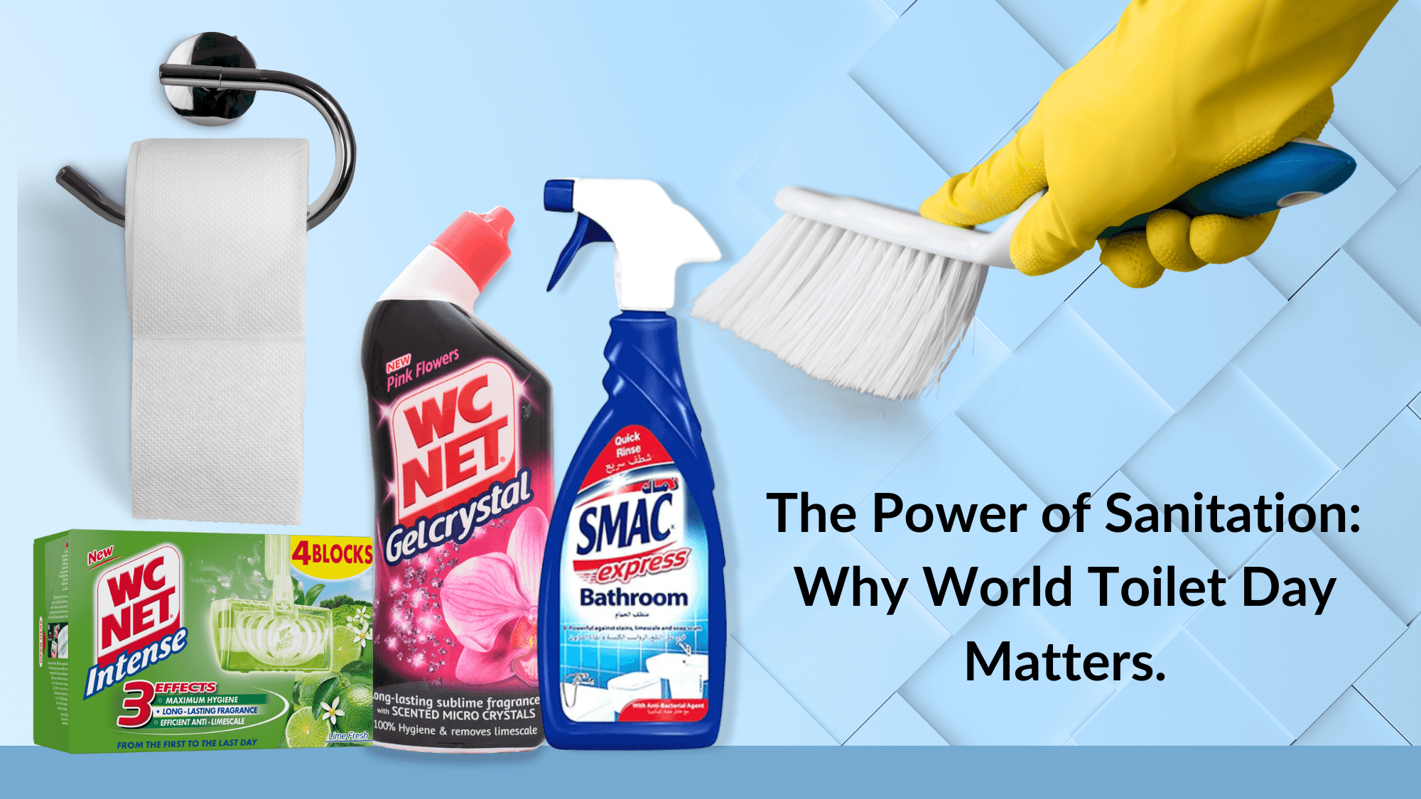 The Power of Sanitation - Why World Toilet Day Matters. - Sunbeam Merchantile Ventures 