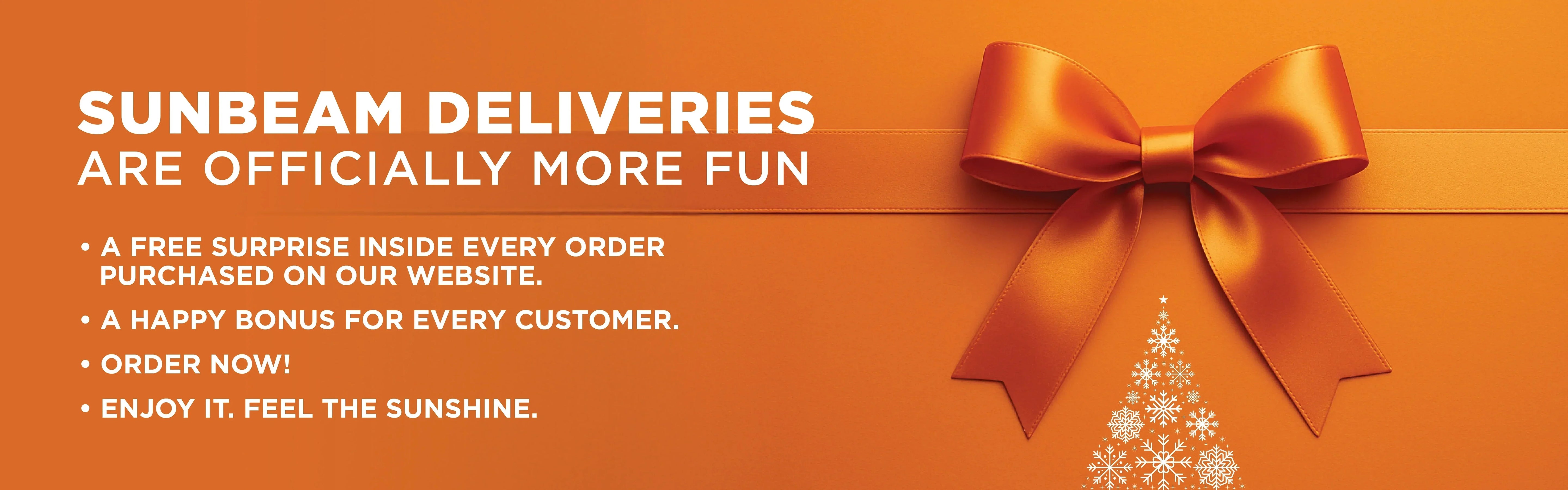 Orange banner with festive ribbon, holiday tree graphic, and text about free surprise with delivery.