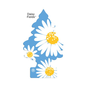 Buy Vehicle Air Fresheners "Car Air Freshener Daisy Fields Hanging" by Little Trees, Pack of 4