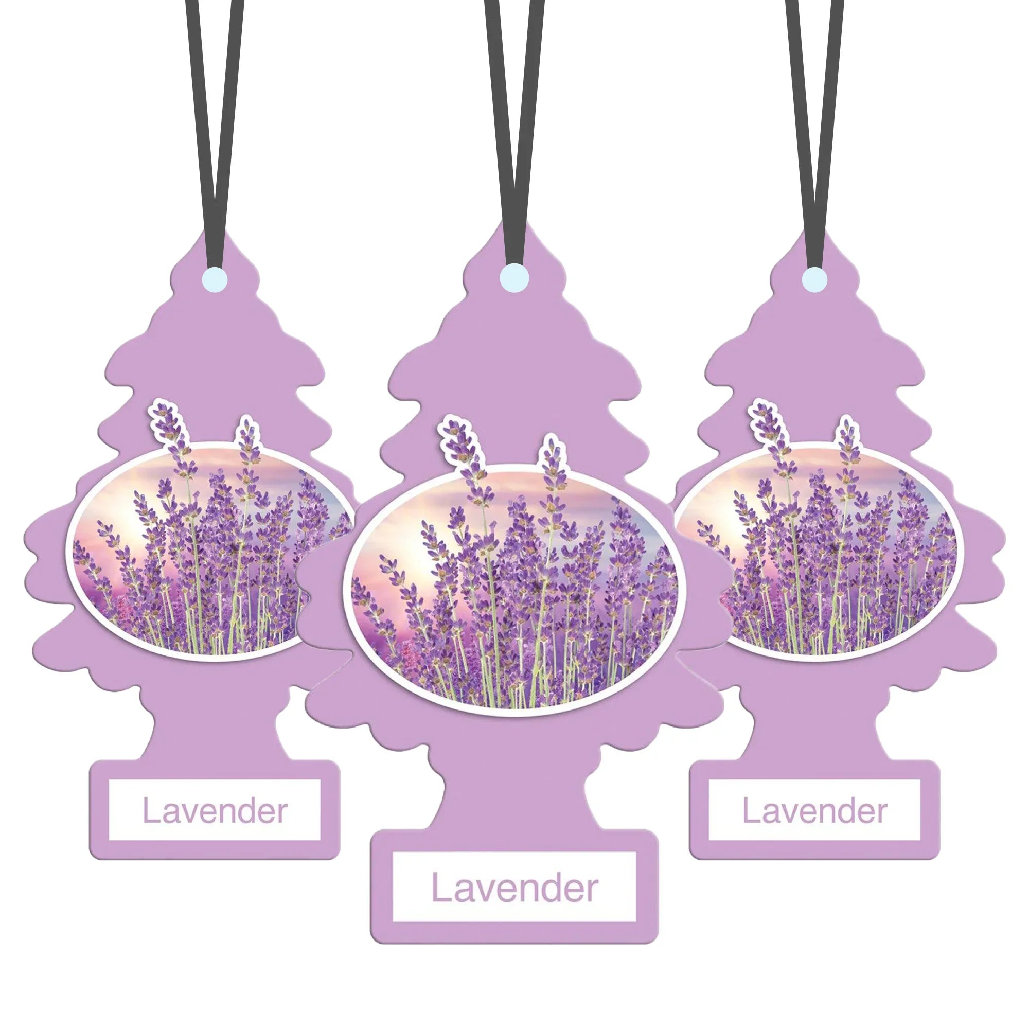 Three purple Little Trees car air fresheners with lavender flowers image and 'Lavender' label