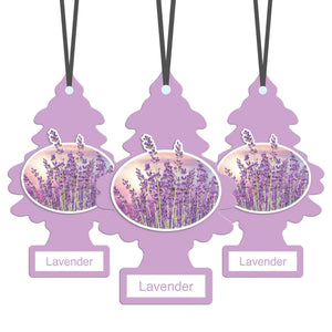 Three purple Little Trees car air fresheners with lavender flowers image and 'Lavender' label