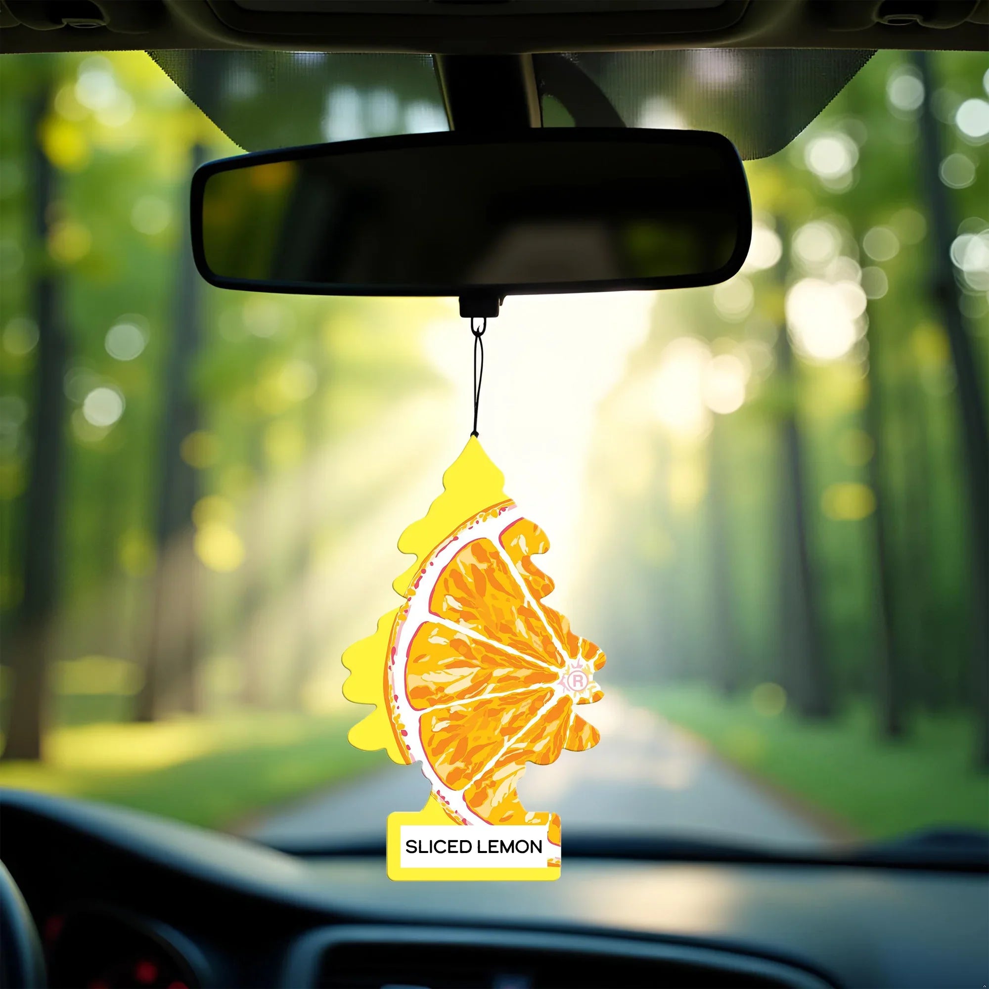 Car Air Freshener Sliced Hanging